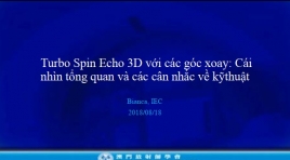 Turbo Spin Echo 3D với các góc xoay: Cái nhìn tổng quan và các cân nhắc về kỹ thuật