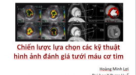 Chiến lược lựa chọn các kĩ thuật hình ảnh đánh giá tưới máu cơ tim