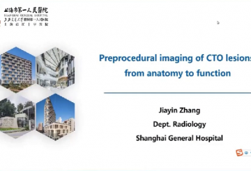 Preprocedural imaging of CTO lesions: from anatomy to function