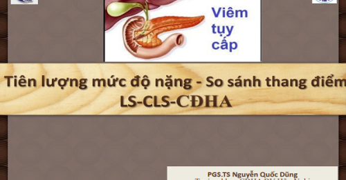 Các hạn chế và mối quan tâm khi sử dụng thang điểm đánh giá viêm tụy cấp?
